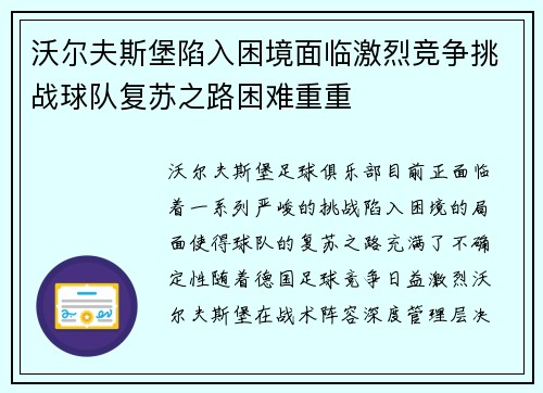 沃尔夫斯堡陷入困境面临激烈竞争挑战球队复苏之路困难重重