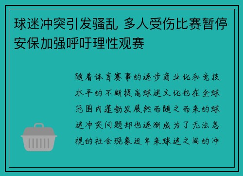 球迷冲突引发骚乱 多人受伤比赛暂停安保加强呼吁理性观赛